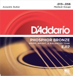 D'Addario EJ17 Phosphor Bronze Acoustic Guitar Strings, Medium, 13-56