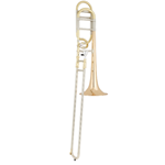 Eastman ETB428GS Step-Up Trombone, F Att, Lg Bore, Gold Brass Bell, Silver