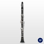 Yamaha YCL650 Professional Clarinet