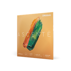 D'Addario Bow ASCENTEVIOLASET Ascente Viola String Set, Synthetic Core, Select Size